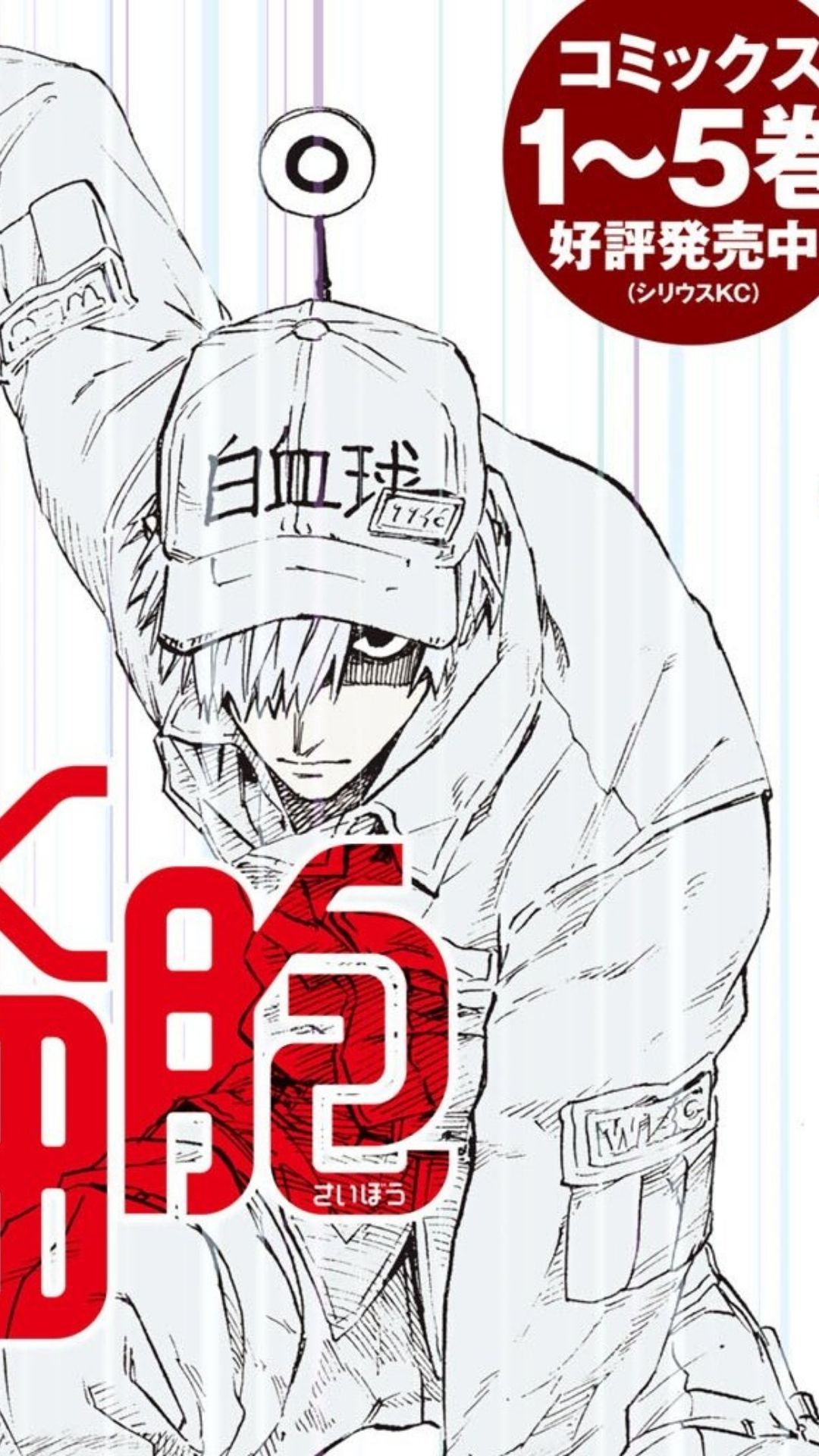 Cells At Work Lady Spinoff Manga Ends Season 1 0962