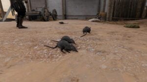 How to Get Rid of Rats in Assasin’s Creed Valhalla?