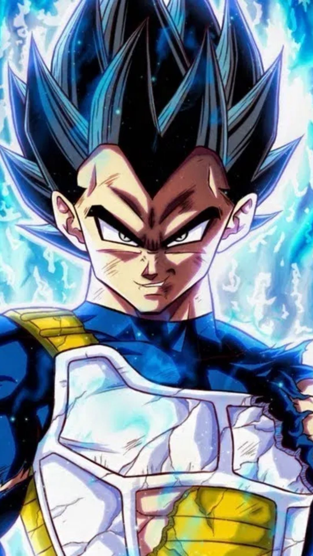 Vegeta Ultra Ego Fan Art