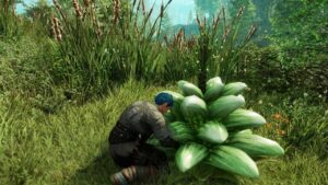 New World Location Guide – Where and How to Find Petalcaps?