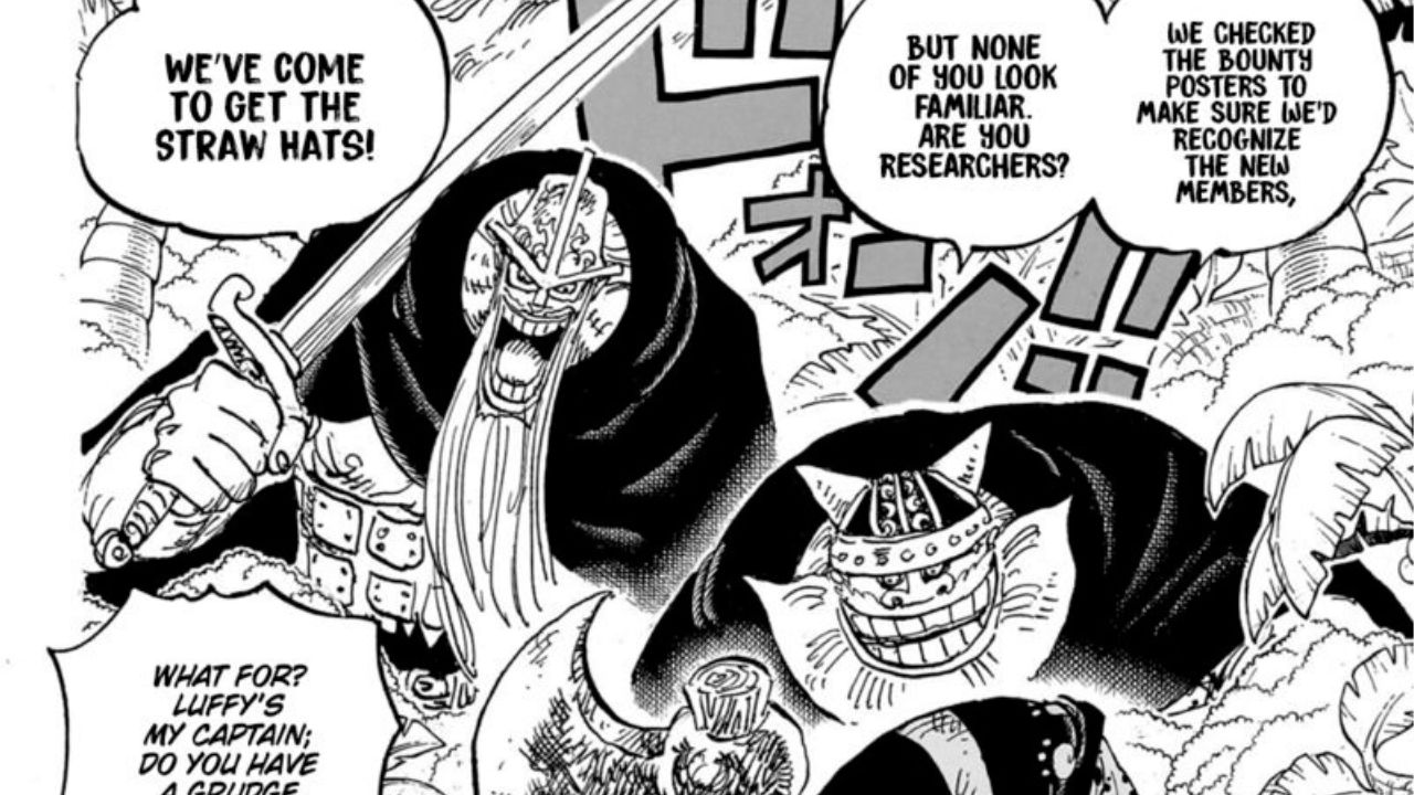 One piece 1108 raw