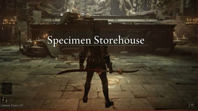 Specimen Storehouse in Shadow Keep