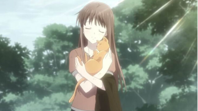 Fruits Basket