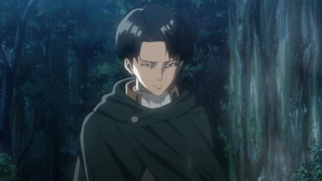 Levi Ackerman