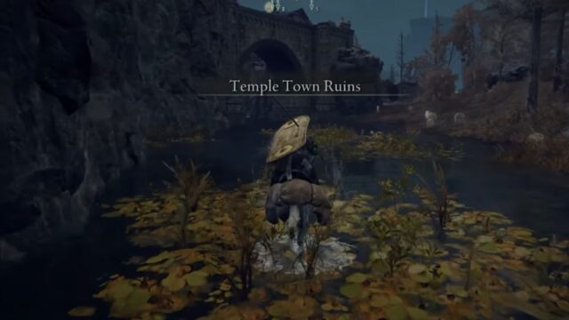 Temple Town Ruins