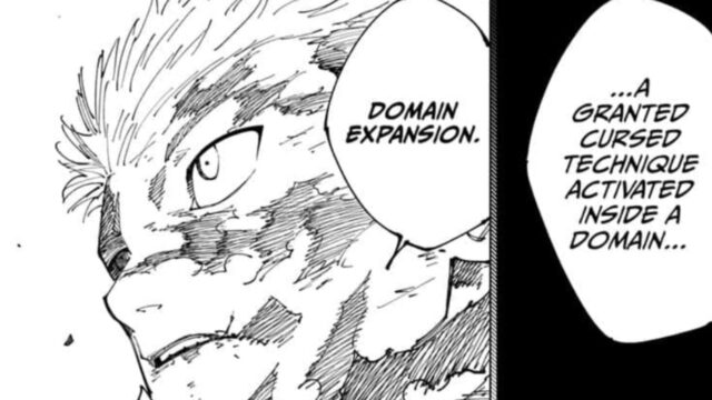 Yuji Itadori’s Domain Expansion in Jujutsu Kaisen Explained  