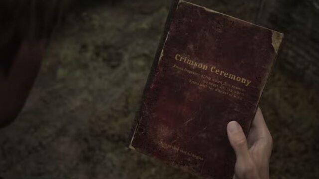 Cemetery Book