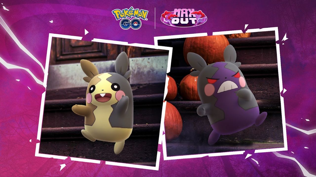 Halloween 2024 Event: How to get Morpeko in Pokemon GO? How to switch forms? cover