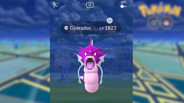 Purple Gyarados 