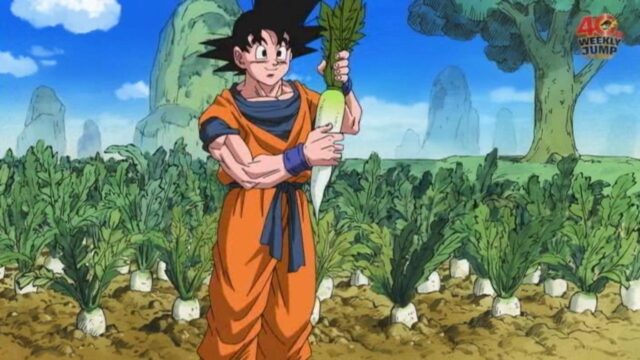 Raditz Farm