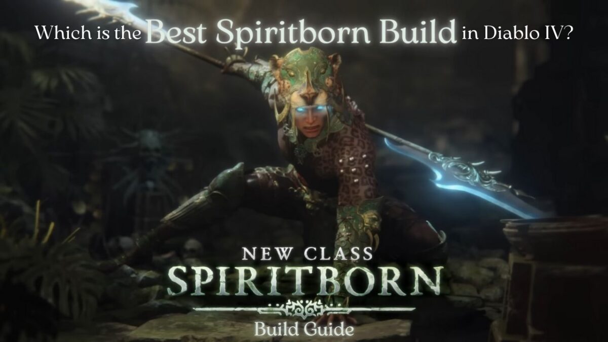 Which is the Best Spiritborn Build in Diablo IV