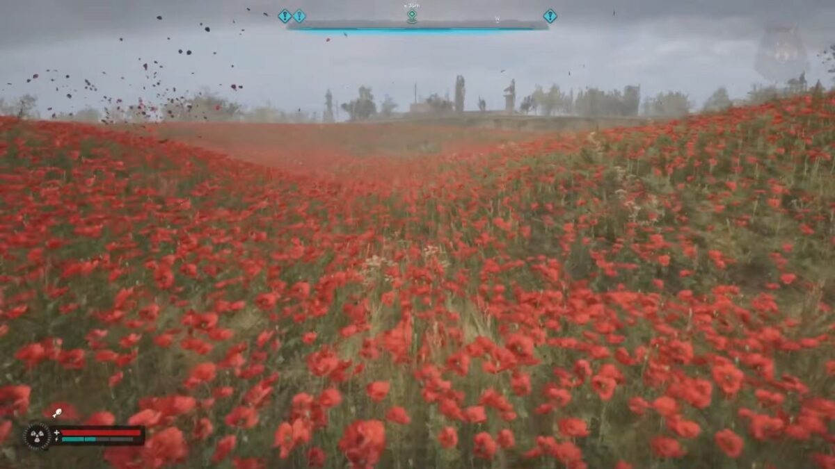 The Poppy Field Feature Image