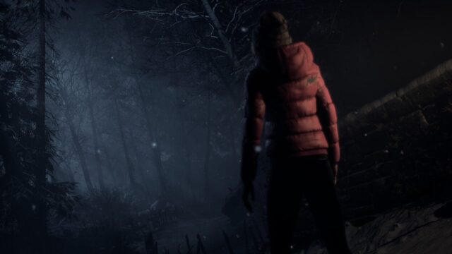 Until Dawn Remake