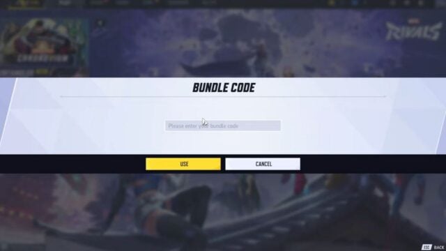 Bundle Code Text Box