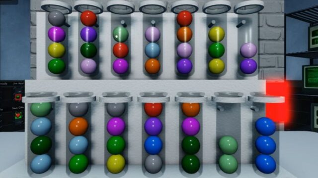 Solutions for the Colored Balls Puzzle