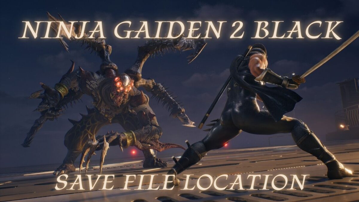 Ninja Gaiden 2 Black Save File Location