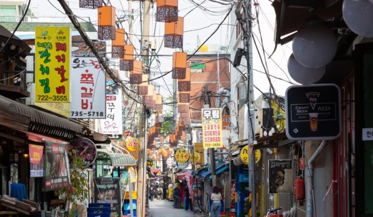 Sejong Vilage Food Street